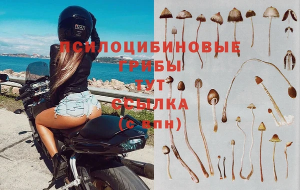 мескалин Надым