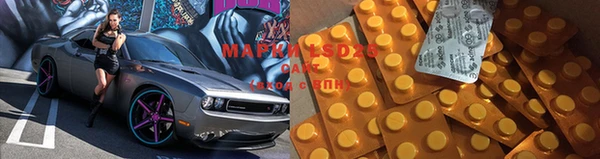 дмт Абаза