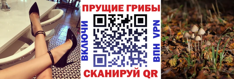 Псилоцибиновые грибы прущие грибы  Усть-Кут 